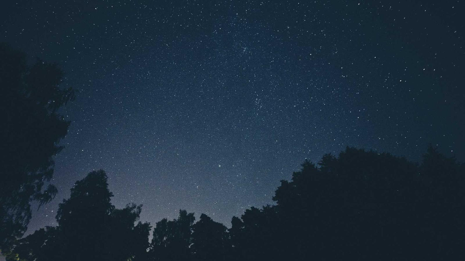 작성자 프로필 이미지