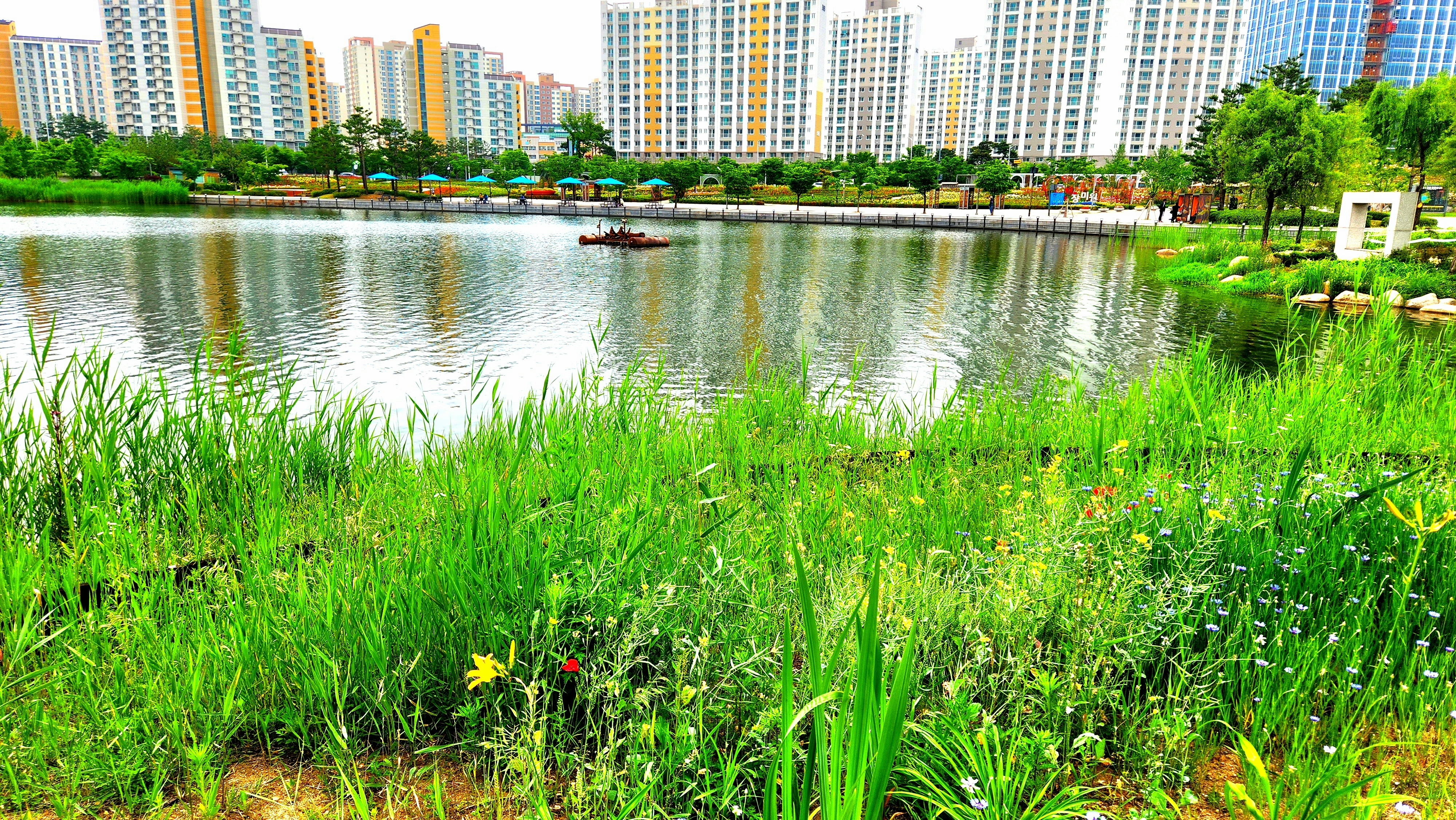 작성자 프로필 이미지