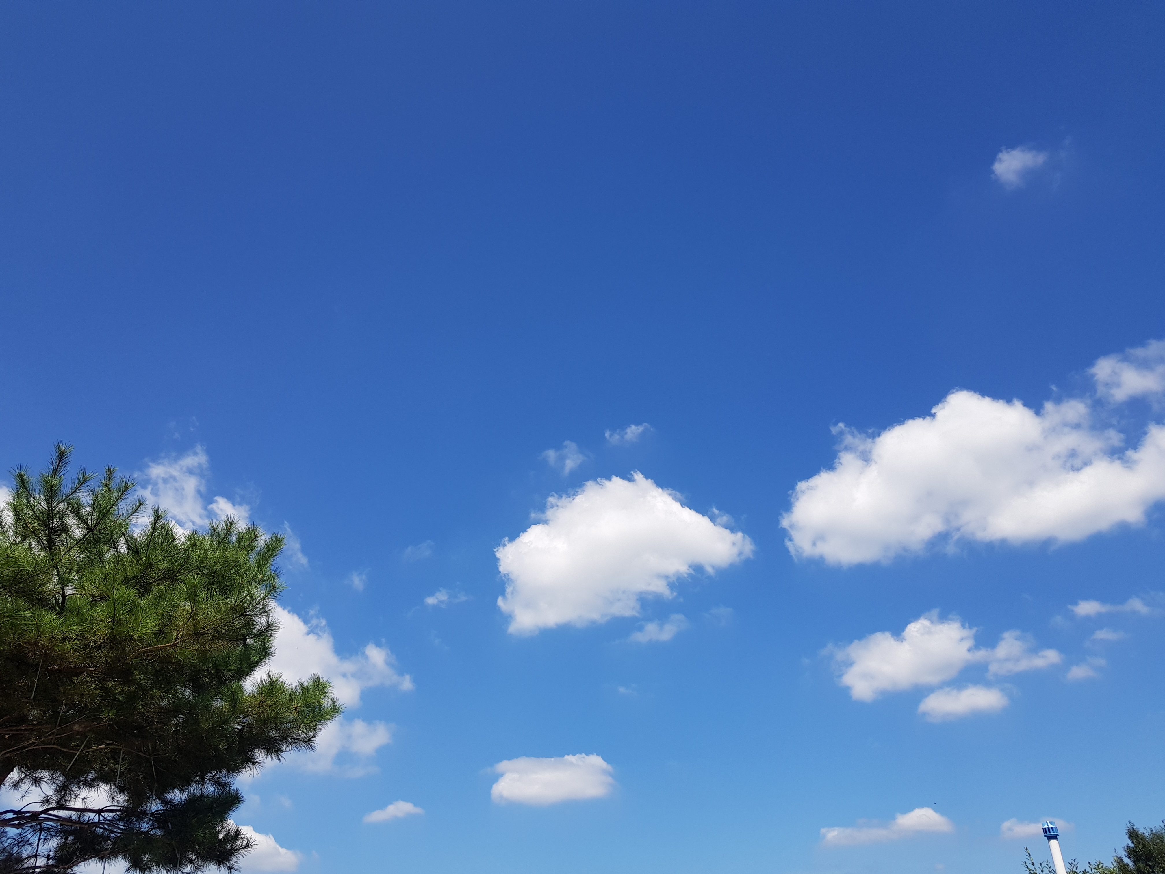 작성자 프로필 이미지