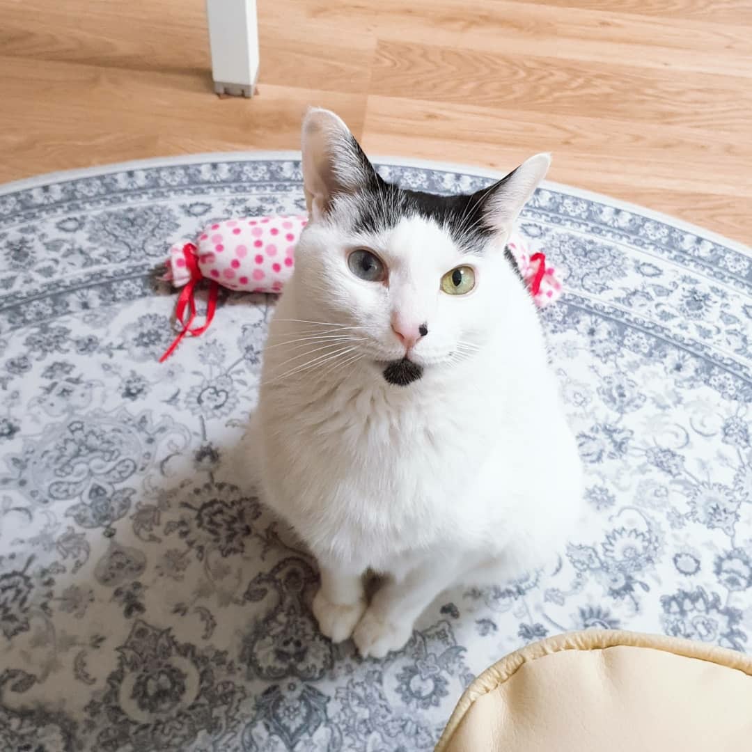 작성자 프로필 이미지