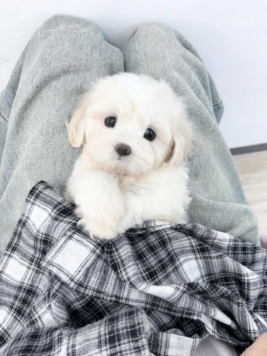 작성자 프로필 이미지