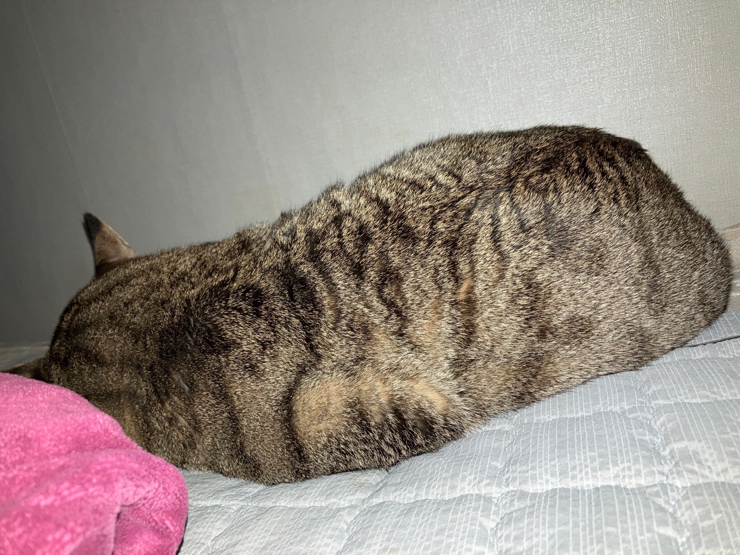 작성자 프로필 이미지