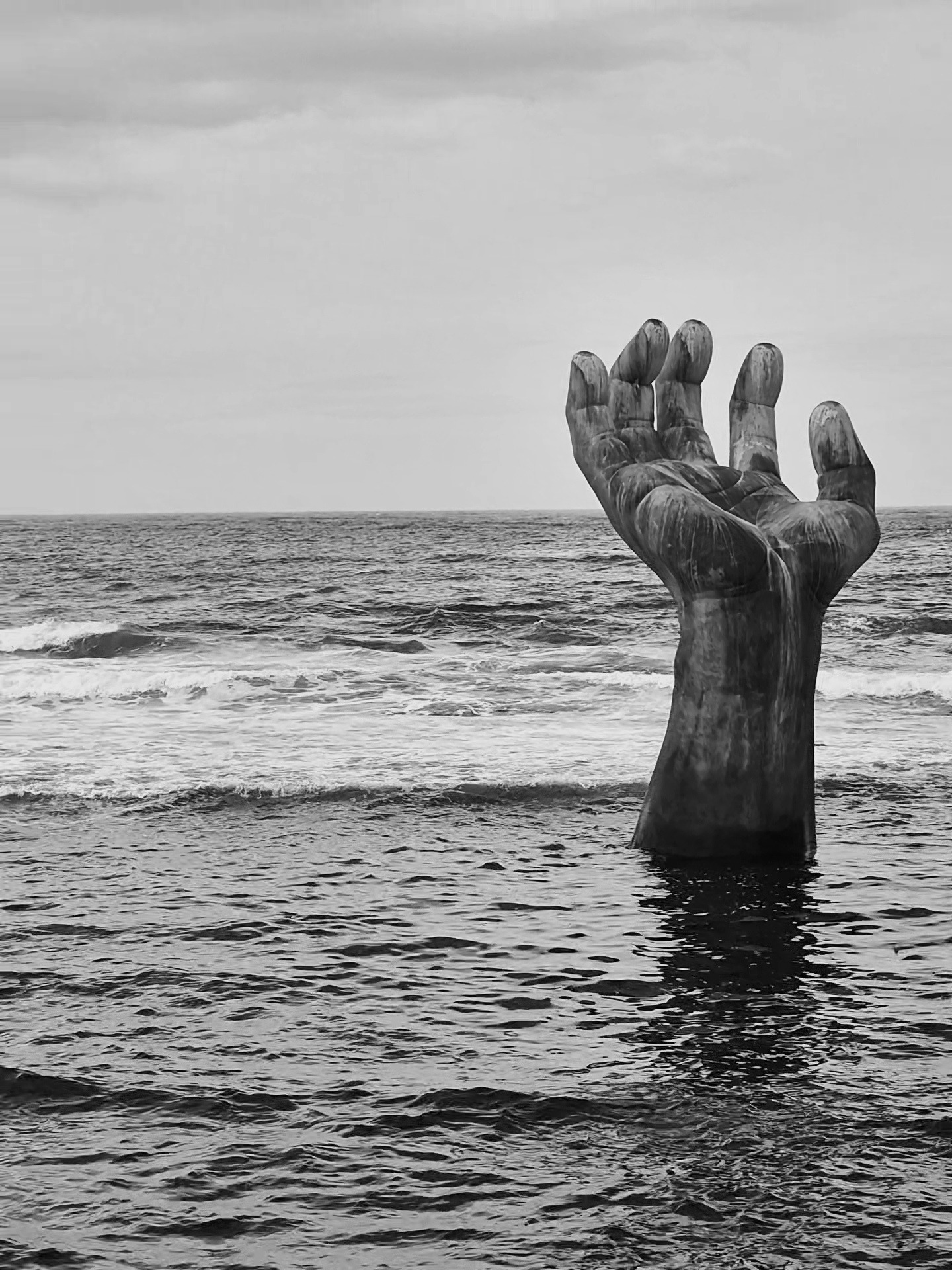 작성자 프로필 이미지