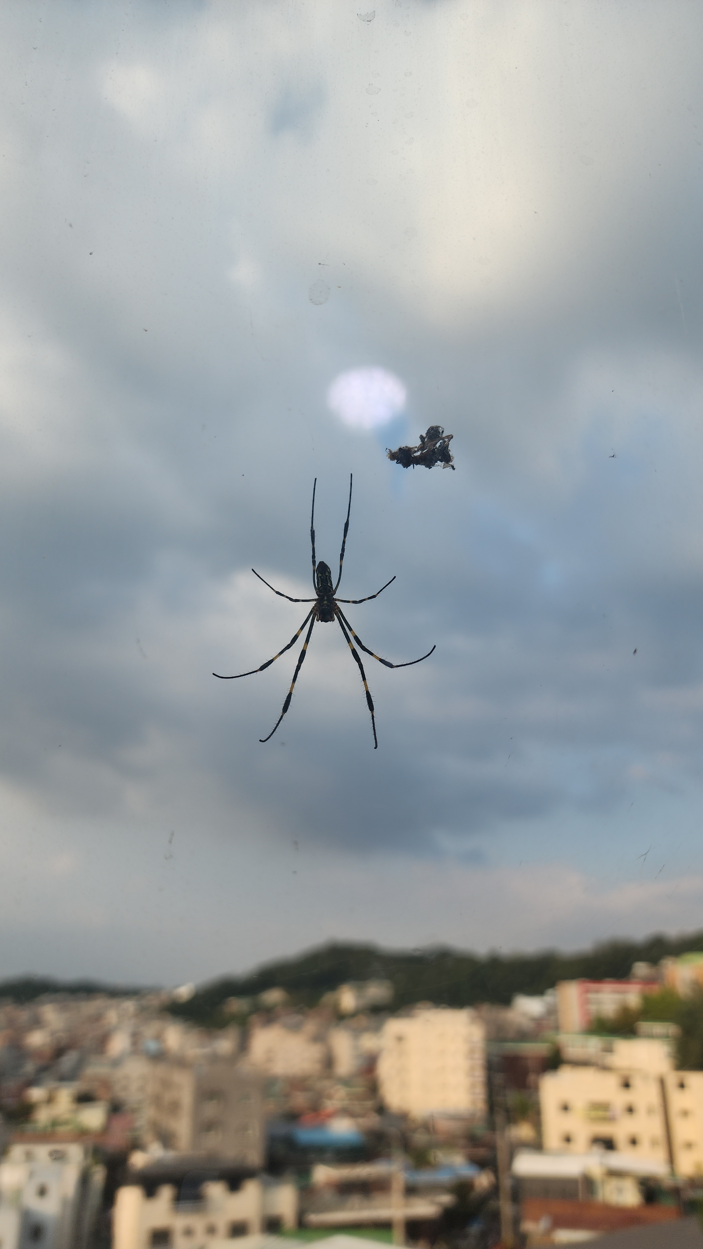 작성자 프로필 이미지