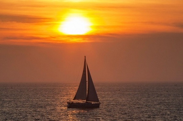 작성자 프로필 이미지