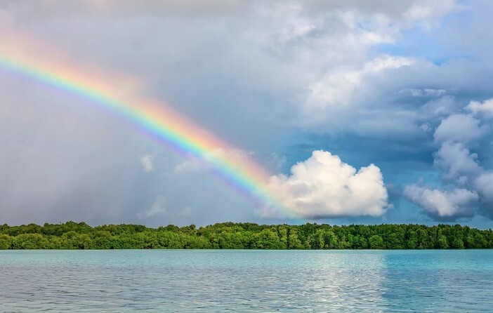 작성자 프로필 이미지