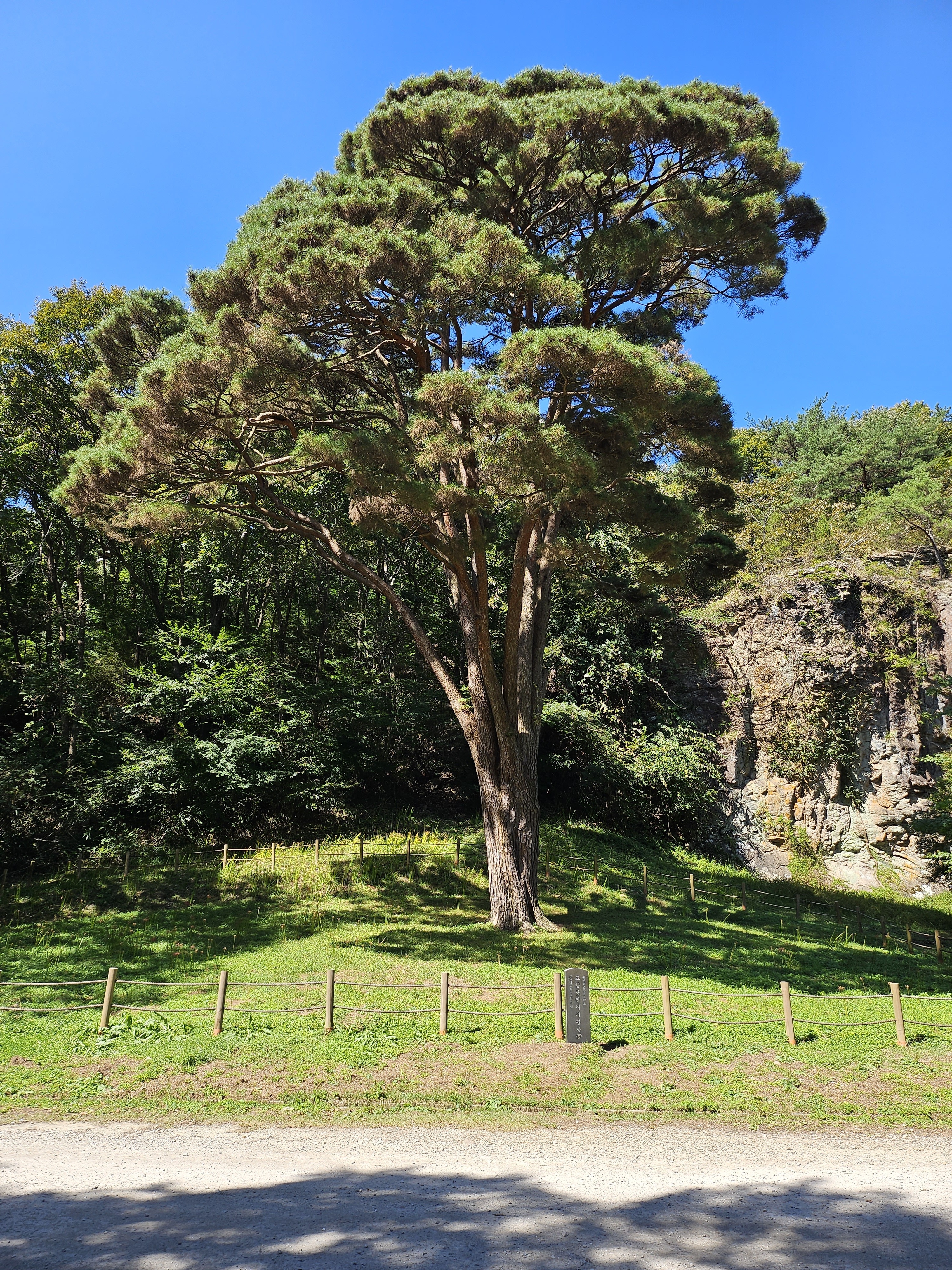 작성자 프로필 이미지