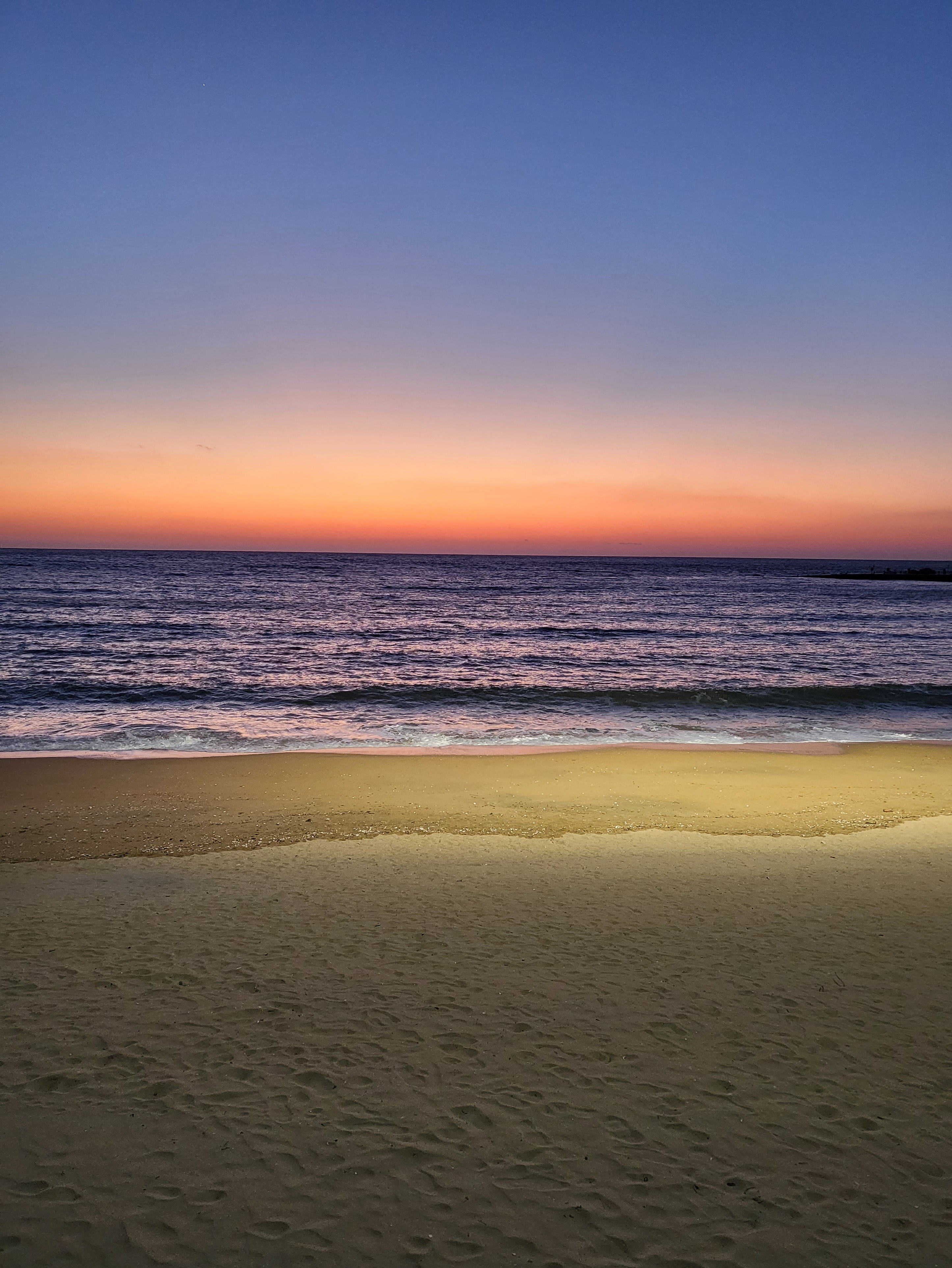 작성자 프로필 이미지