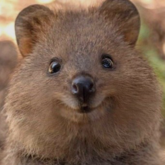 작성자 프로필 이미지