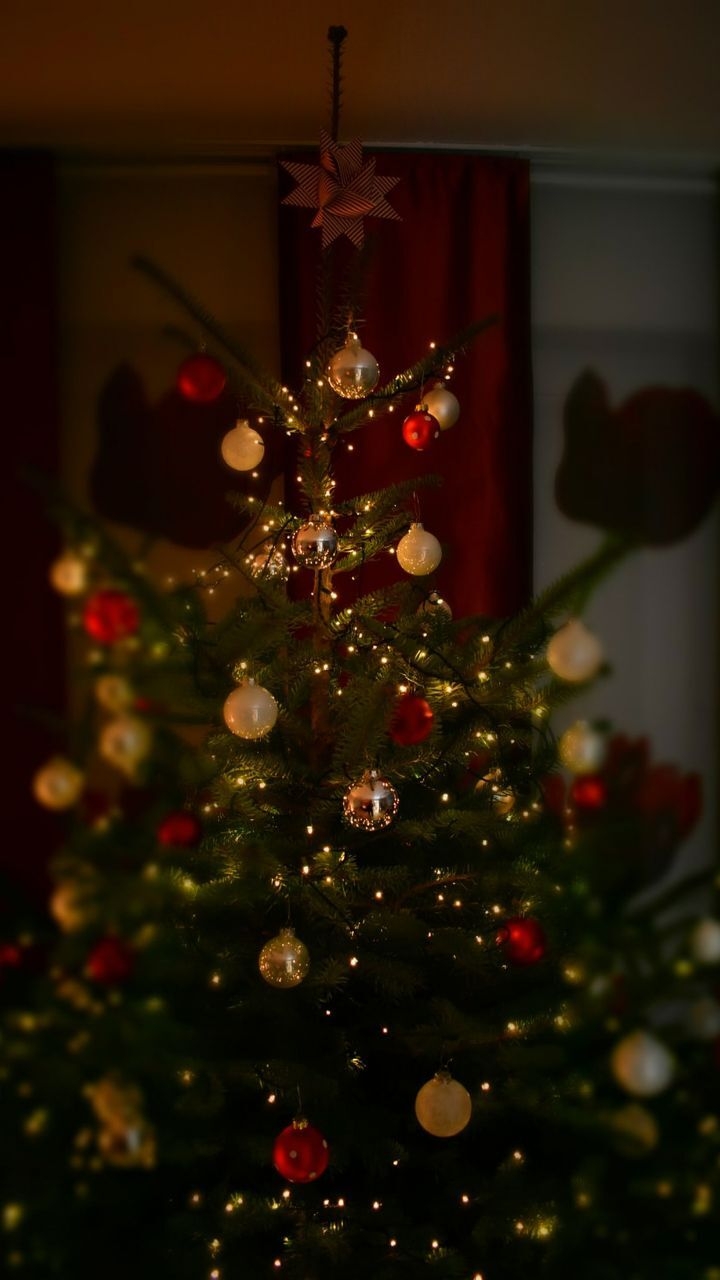 작성자 프로필 이미지