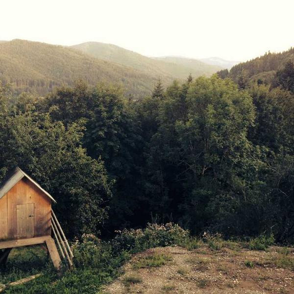 작성자 프로필 이미지