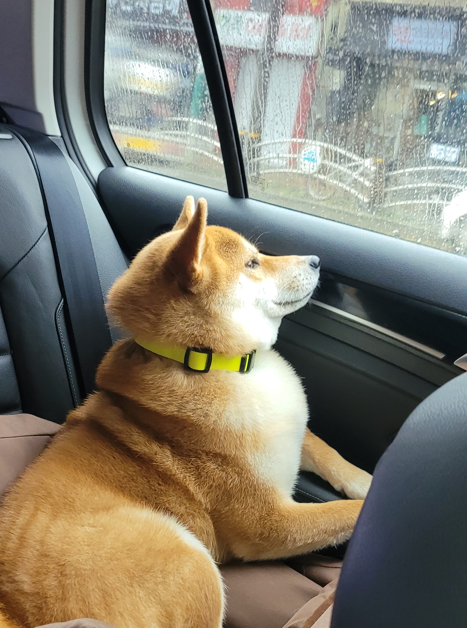 작성자 프로필 이미지