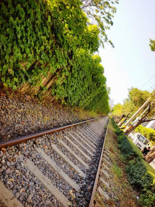 작성자 프로필 이미지