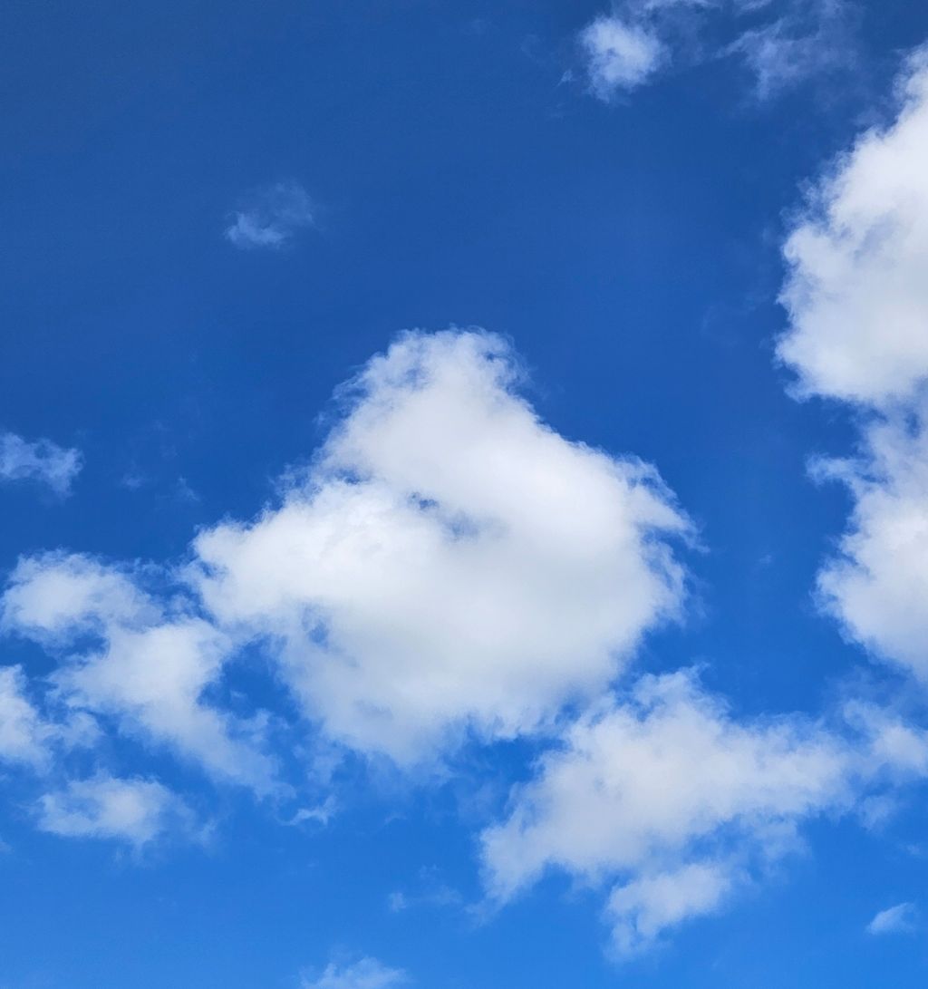 작성자 프로필 이미지