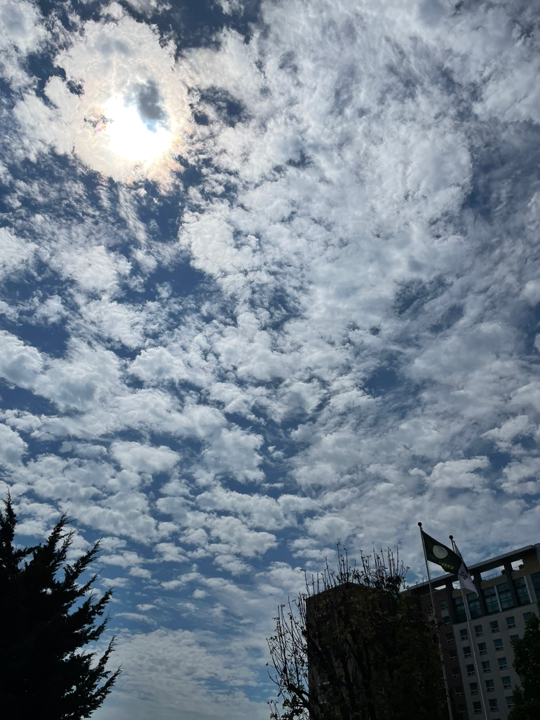 작성자 프로필 이미지