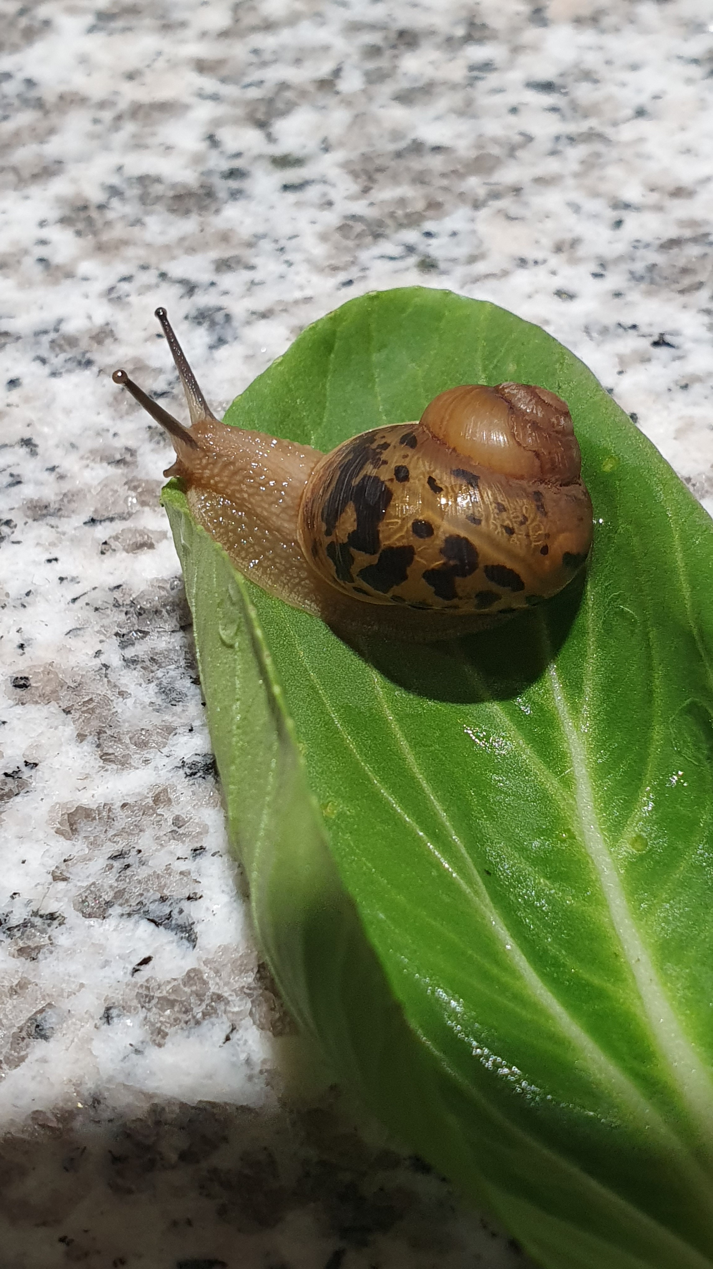 작성자 프로필 이미지