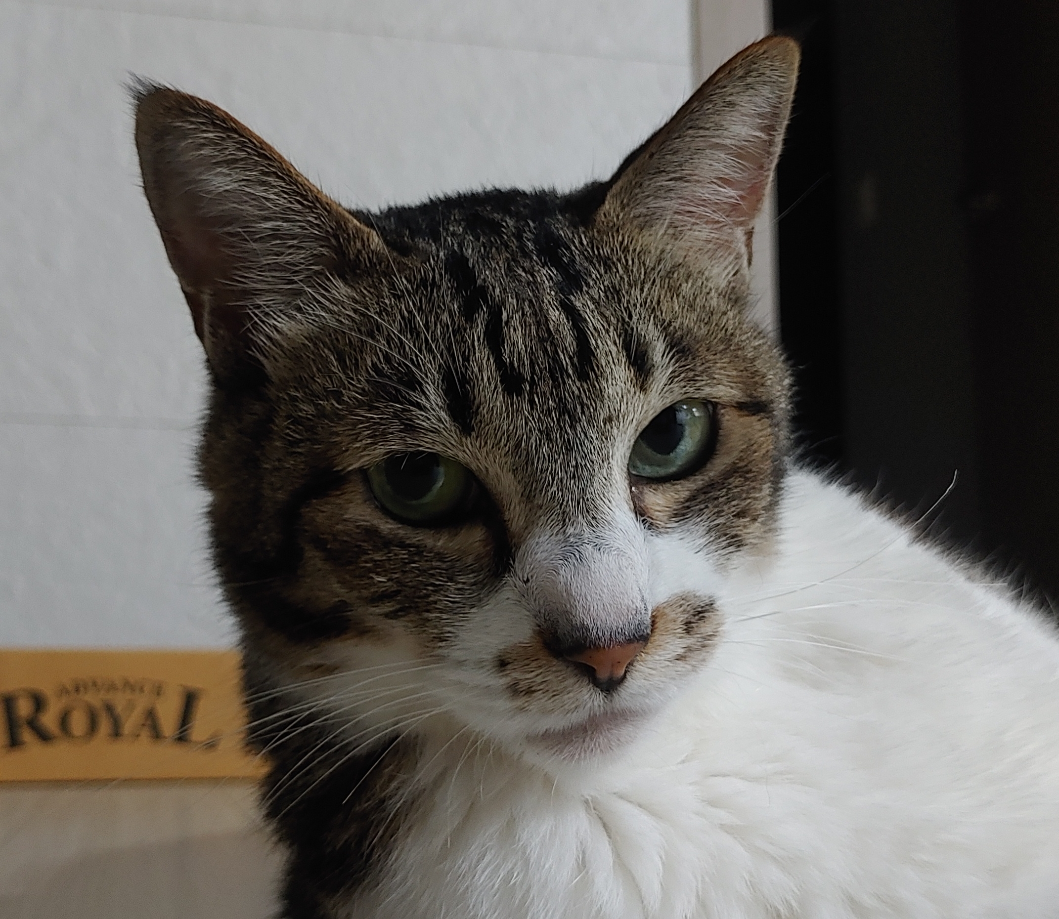 작성자 프로필 이미지