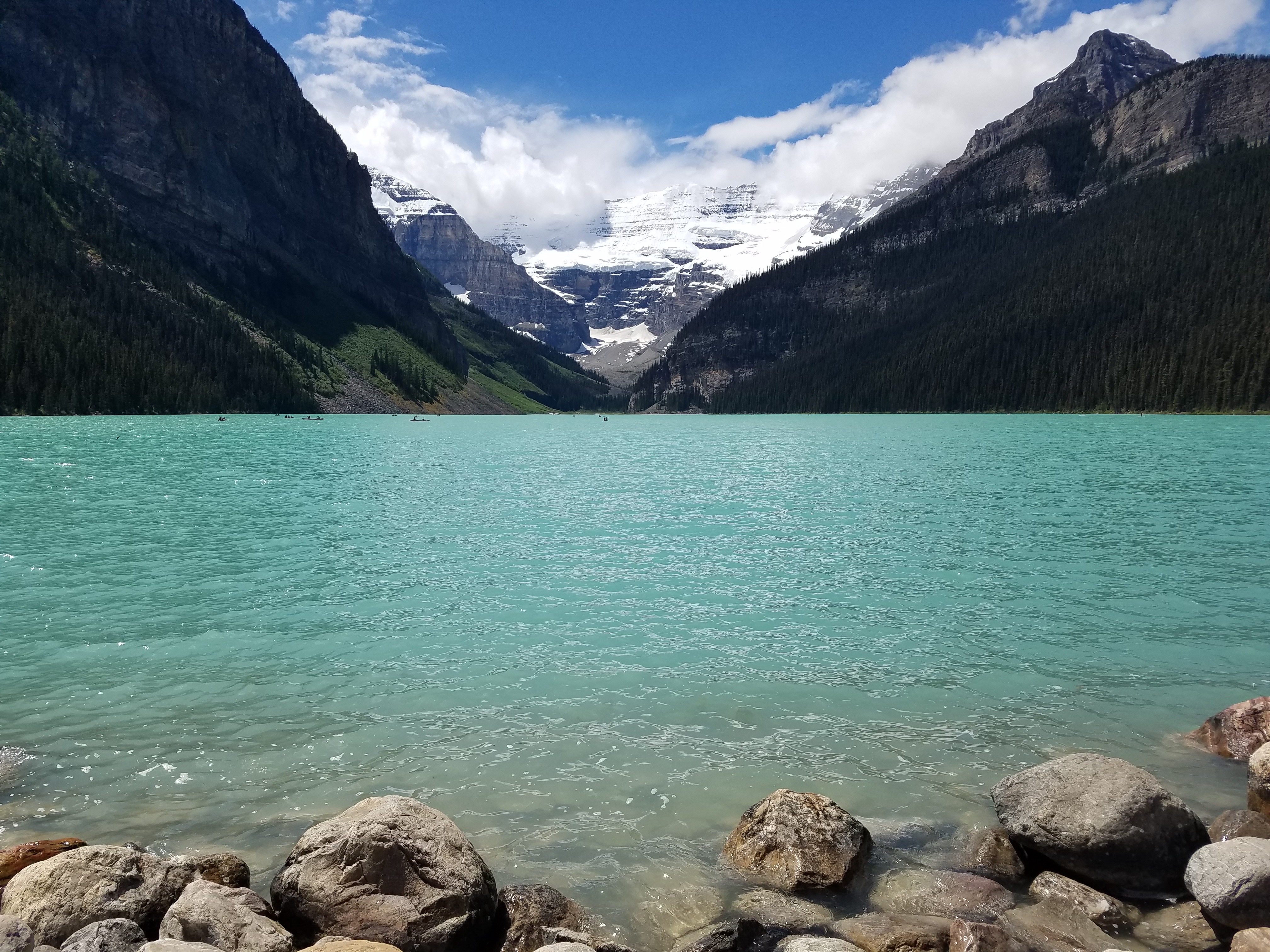 작성자 프로필 이미지