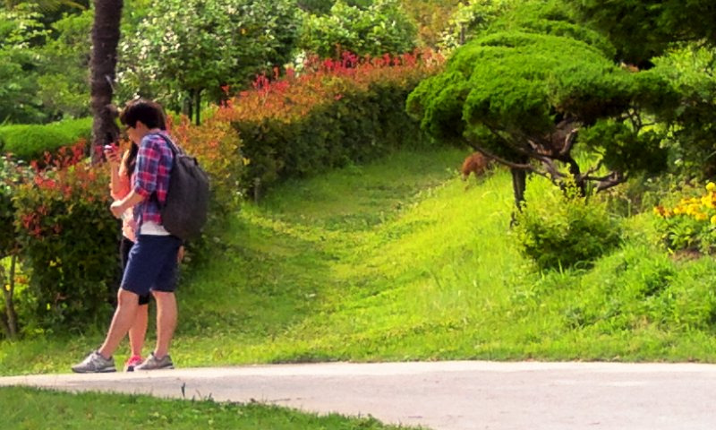 작성자 프로필 이미지
