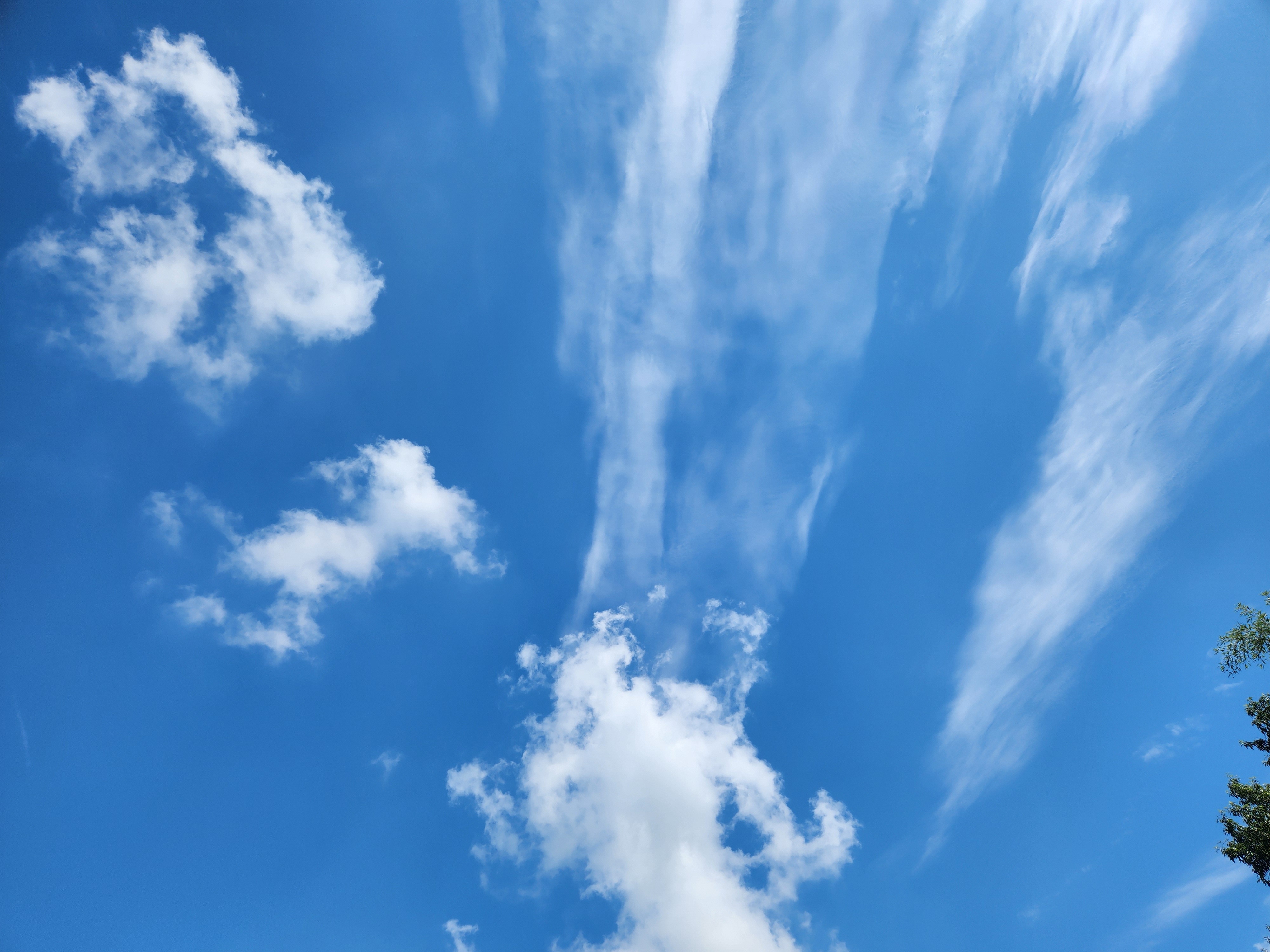 작성자 프로필 이미지