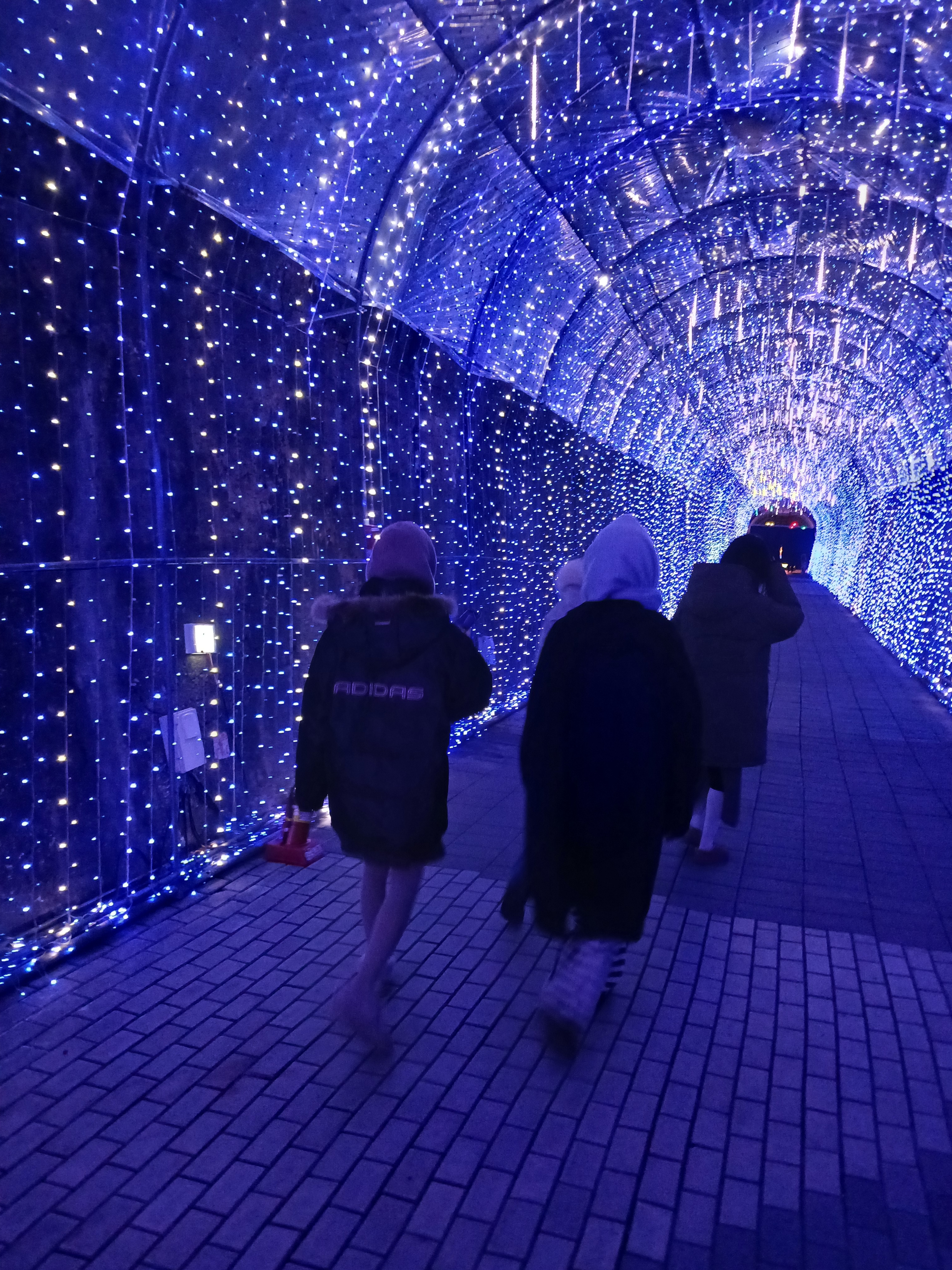 작성자 프로필 이미지