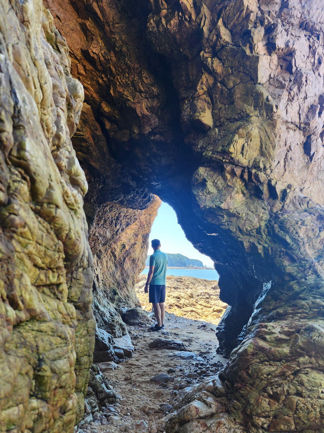 작성자 프로필 이미지