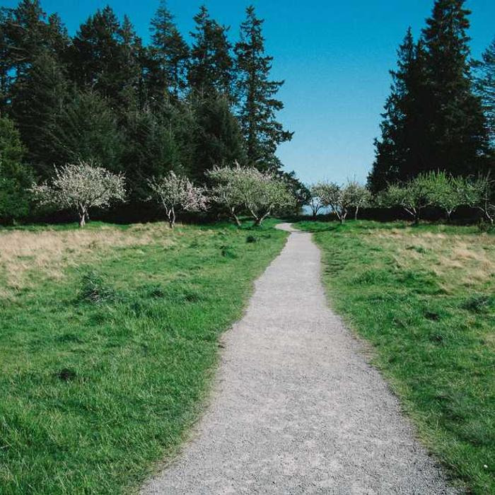 작성자 프로필 이미지