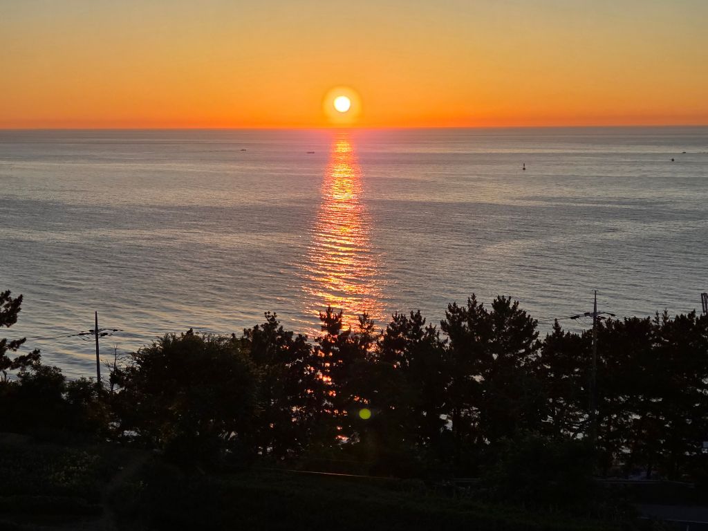 작성자 프로필 이미지