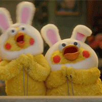 작성자 프로필 이미지