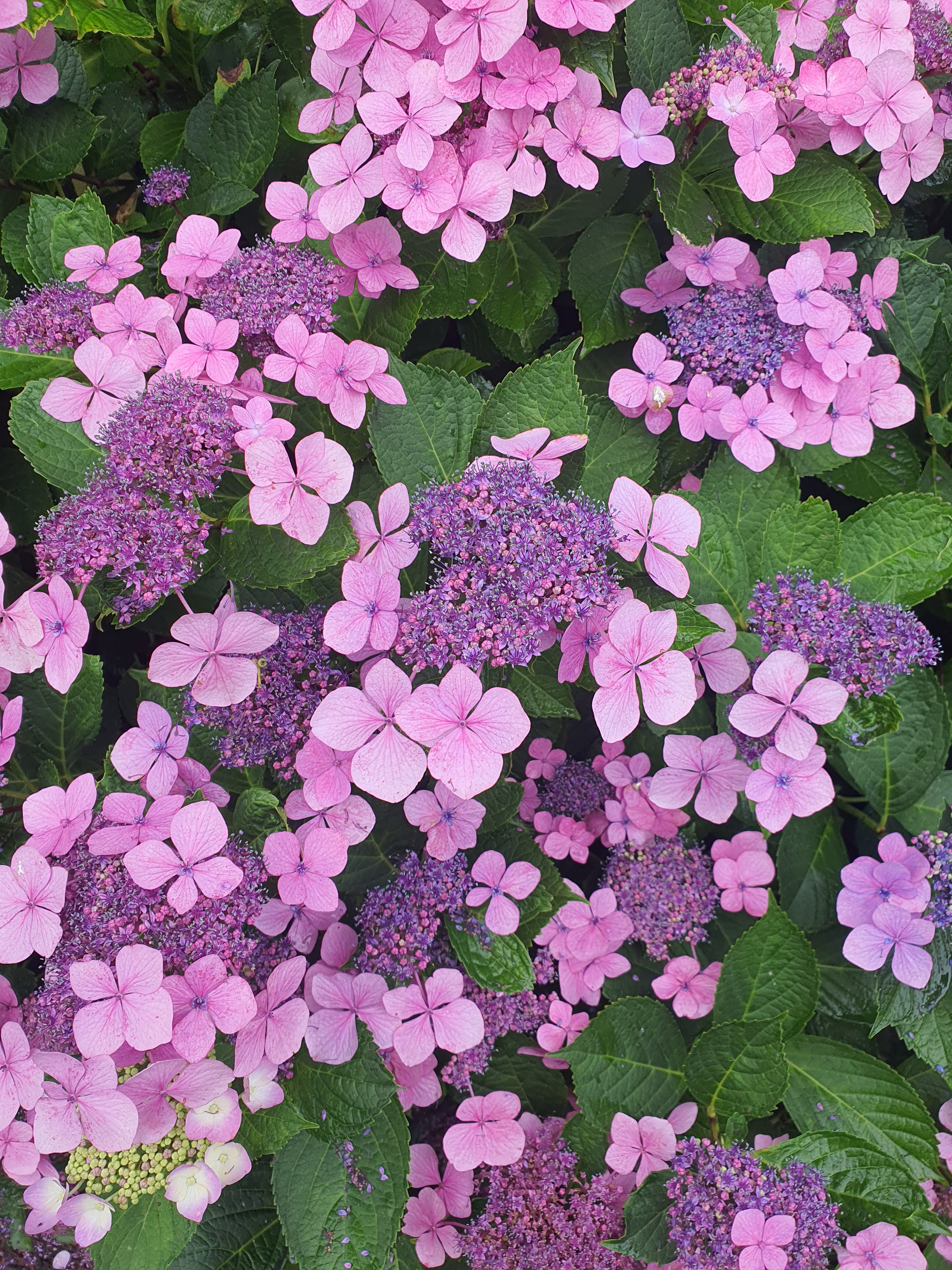 작성자 프로필 이미지