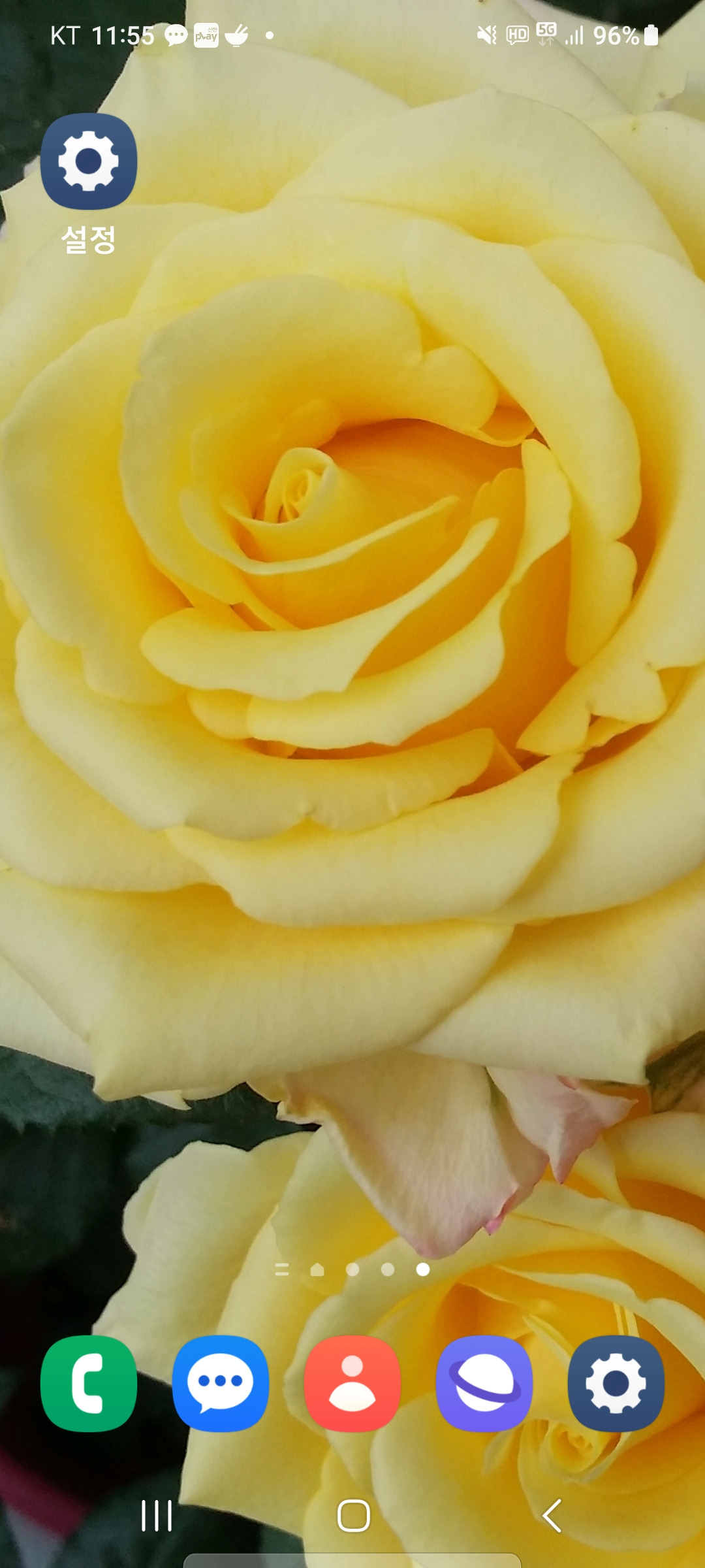 작성자 프로필 이미지