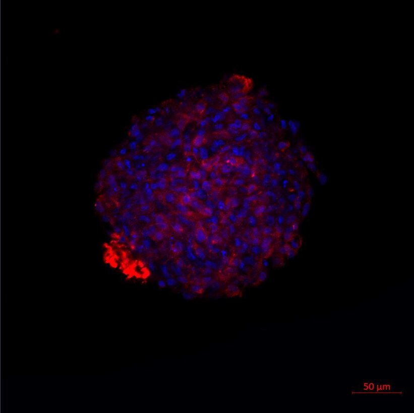 작성자 프로필 이미지