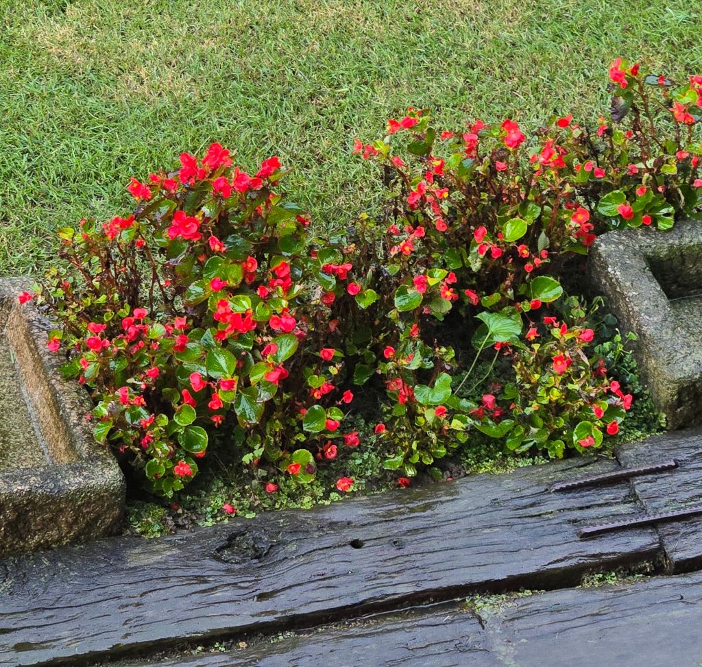 작성자 프로필 이미지