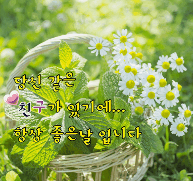 작성자 프로필 이미지