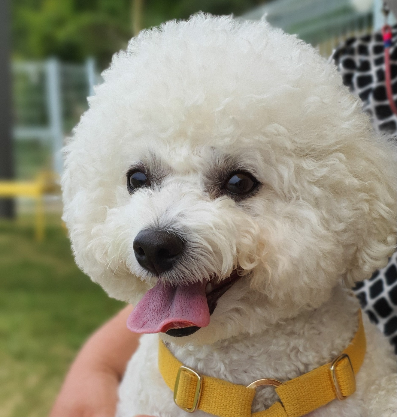 나대로288377 프로필 이미지