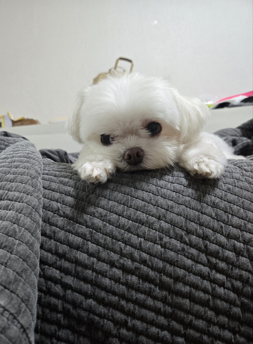 작성자 프로필 이미지