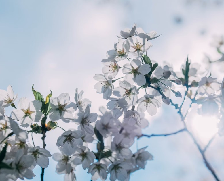 작성자 프로필 이미지