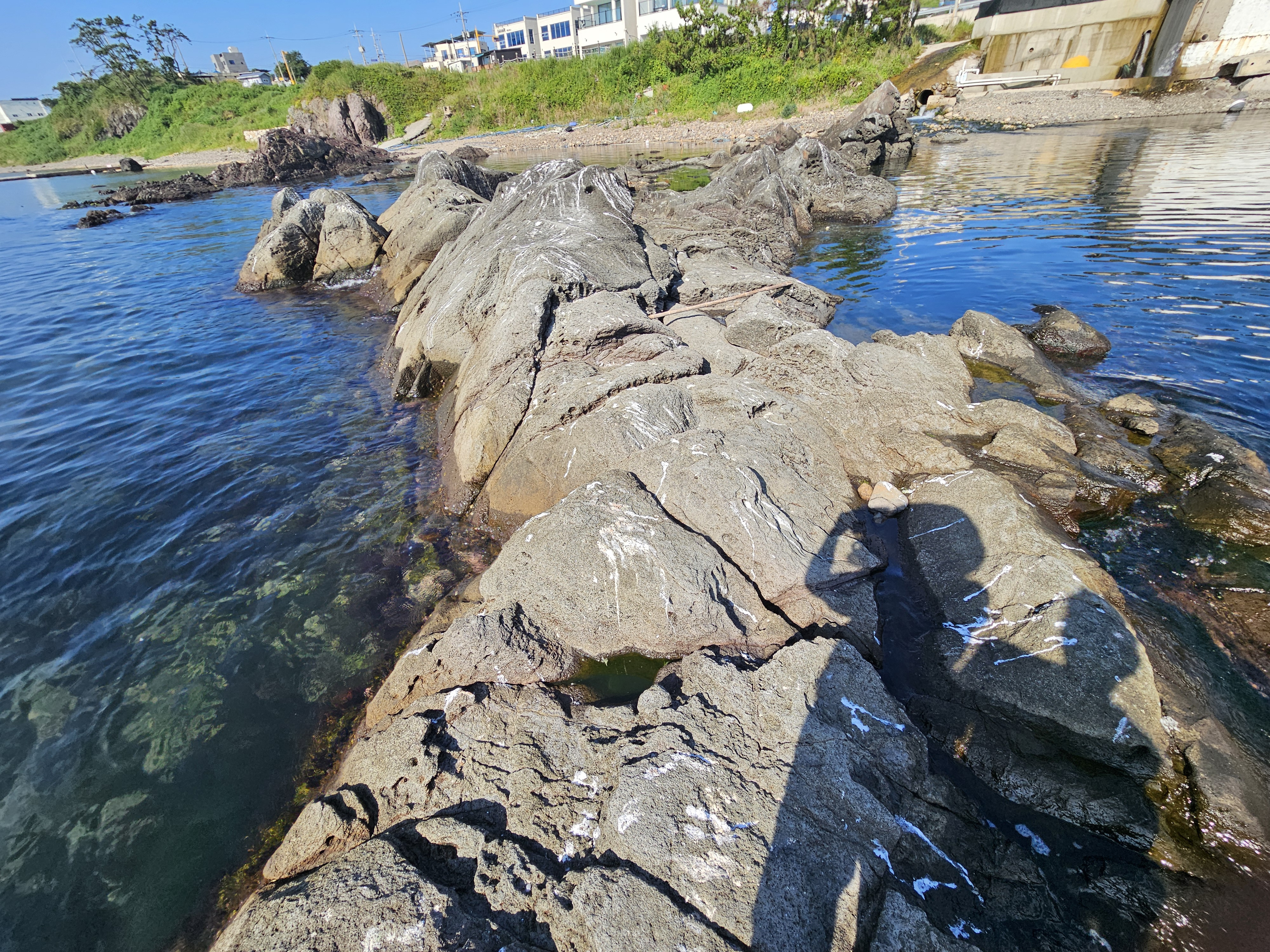 작성자 프로필 이미지