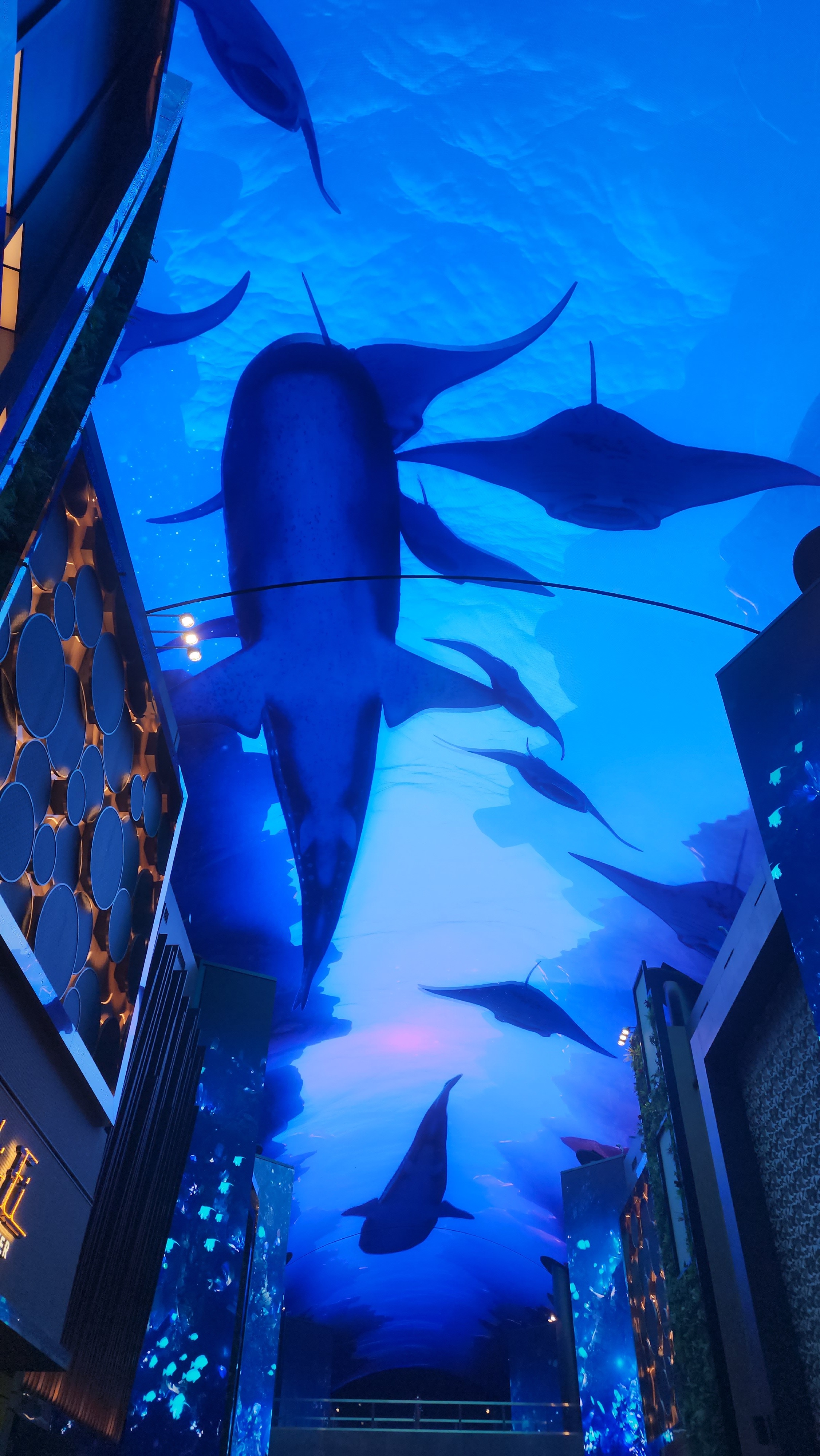 매그놀리아 프로필 이미지