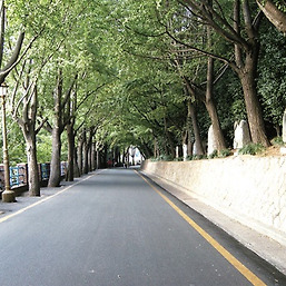 용두산 공원 시의 거리