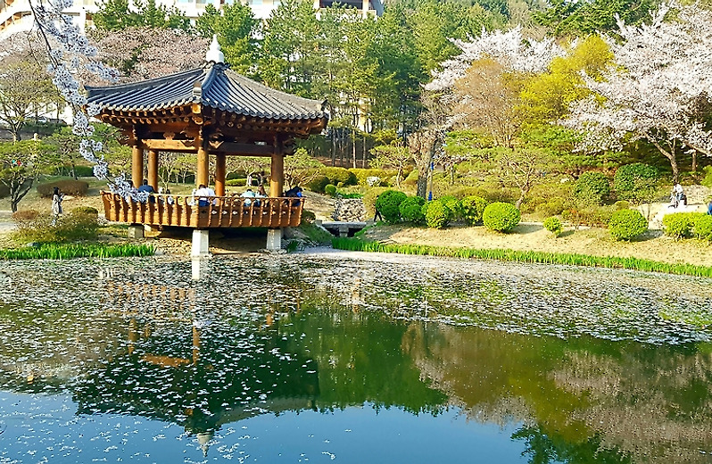 [포토친구] 봄 향기 가득한 날