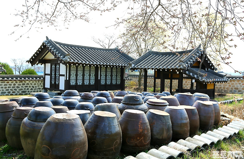 [포토친구] 봄의 뜨락에서