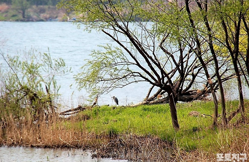 [포토친구] 낙동강변의 봄