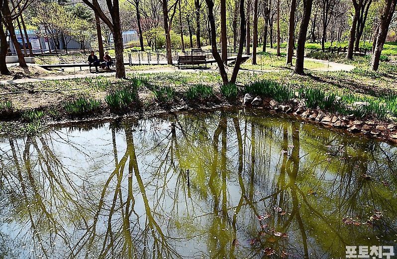[포토친구] 수목원의 봄