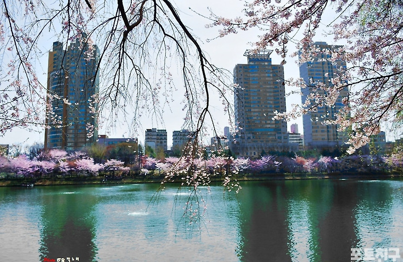 [포토친구] 봄 향기를 찾아서