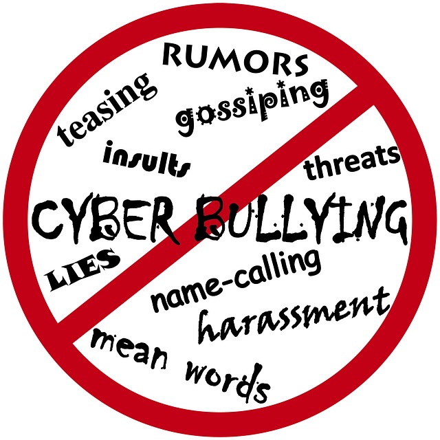 사이버 불링(Cyber Bullying)