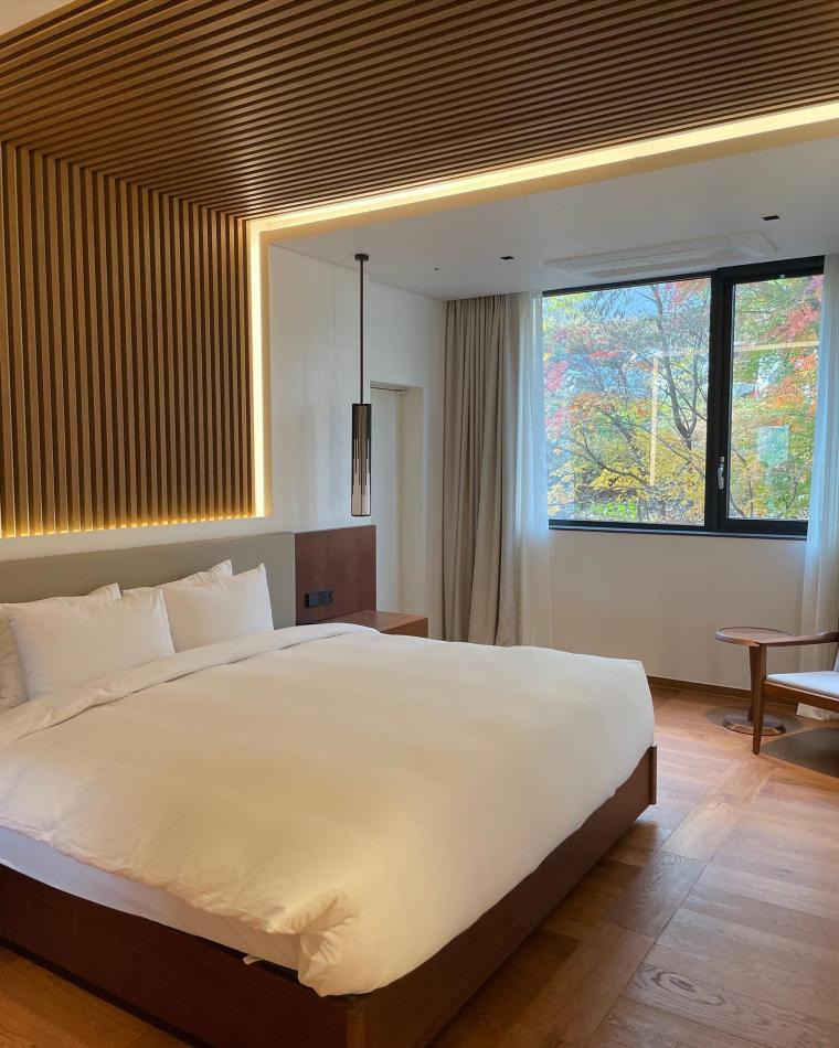 짤티비 - https://jjtv.kr