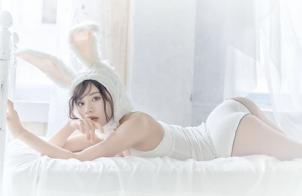 짤티비 - https://jjtv.kr