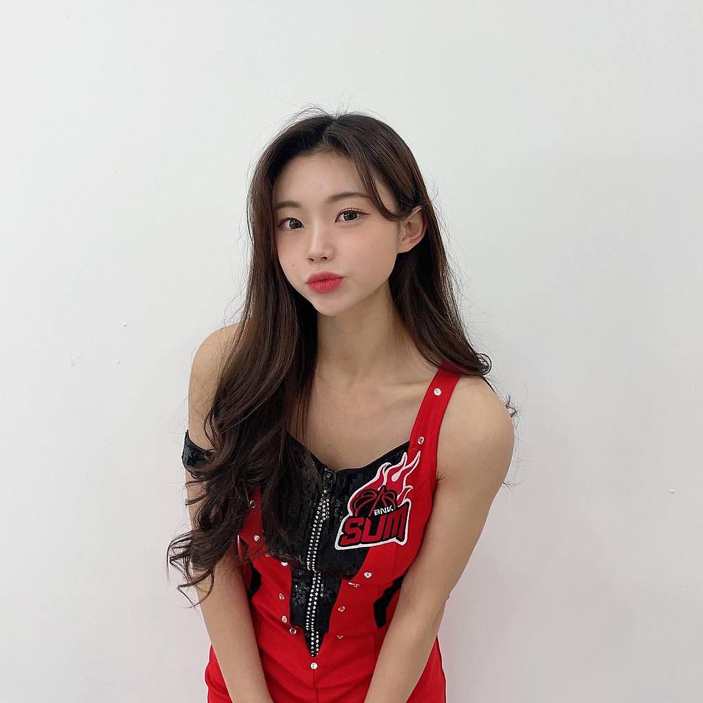 짤티비 - https://jjtv.kr