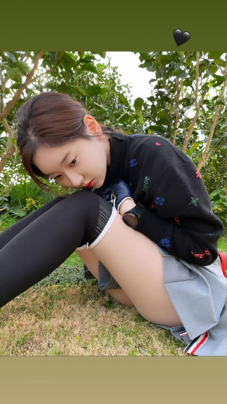 짤티비 - https://jjtv.kr